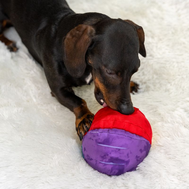 TIAKI Regenboog Snackbal